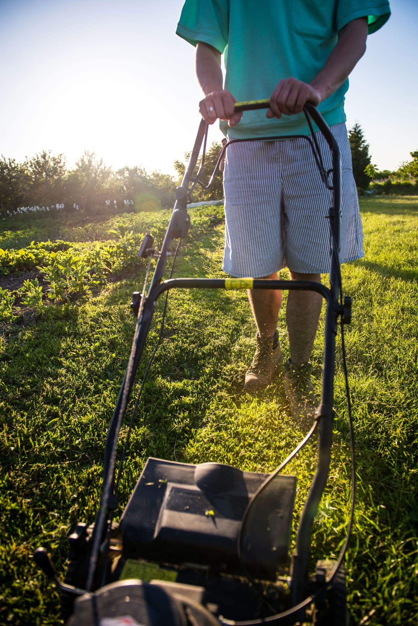 Mowing a green front lawn on a sunny afternoon